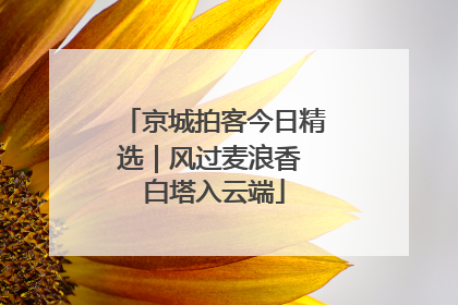 京城拍客今日精选｜风过麦浪香 白塔入云端