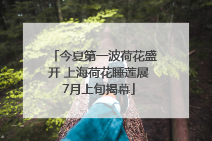 今夏第一波荷花盛开 上海荷花睡莲展7月上旬揭幕