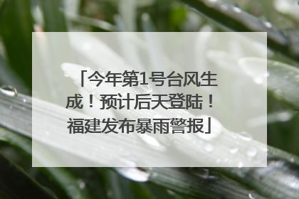 今年第1号台风生成！预计后天登陆！福建发布暴雨警报