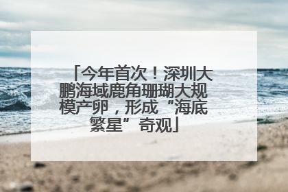 今年首次！深圳大鹏海域鹿角珊瑚大规模产卵，形成“海底繁星”奇观