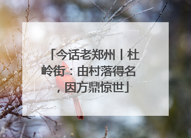 今话老郑州丨杜岭街：由村落得名，因方鼎惊世