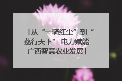 从“一骑红尘”到“荔行天下” 电力赋能广西智慧农业发展