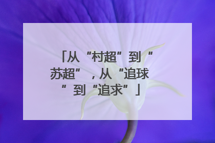 从“村超”到“苏超”，从“追球”到“追求”