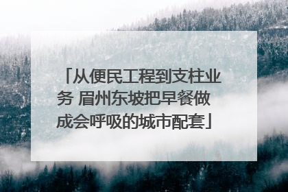 从便民工程到支柱业务 眉州东坡把早餐做成会呼吸的城市配套