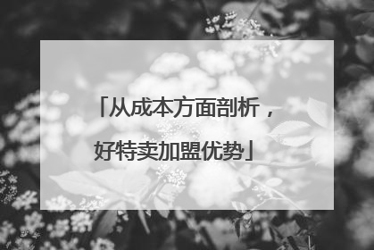 从成本方面剖析，好特卖加盟优势
