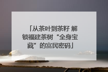 从茶叶到茶籽 解锁福建茶树“全身宝藏”的富民密码