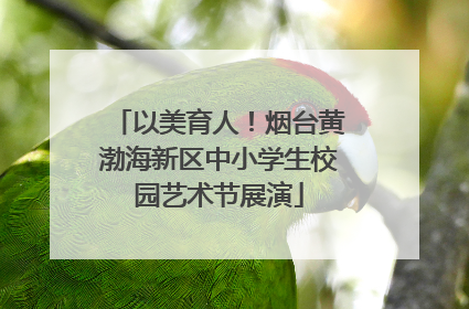 以美育人！烟台黄渤海新区中小学生校园艺术节展演