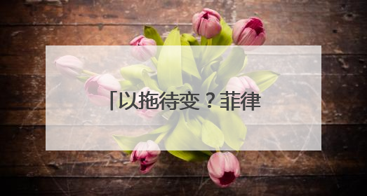 以拖待变？菲律宾副总统弹劾案被退回众院，新一届国会7月成立