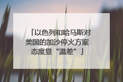 以色列和哈马斯对美国的加沙停火方案态度显“温差”