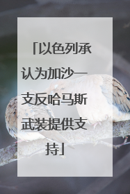 以色列承认为加沙一支反哈马斯武装提供支持