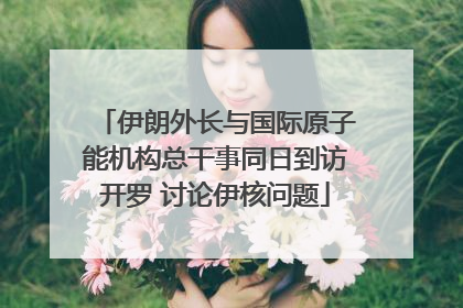 伊朗外长与国际原子能机构总干事同日到访开罗 讨论伊核问题