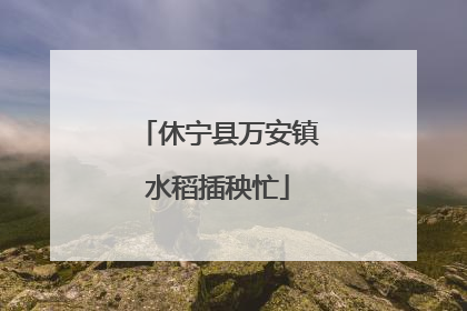 休宁县万安镇水稻插秧忙