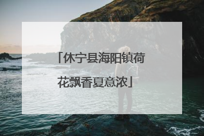 休宁县海阳镇荷花飘香夏意浓