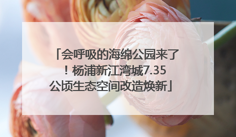 会呼吸的海绵公园来了！杨浦新江湾城7.35公顷生态空间改造焕新
