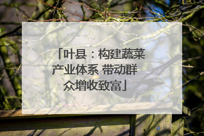 叶县：构建蔬菜产业体系 带动群众增收致富