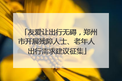友爱让出行无碍，郑州市开展残障人士、老年人出行需求建议征集