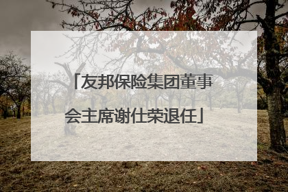 友邦保险集团董事会主席谢仕荣退任