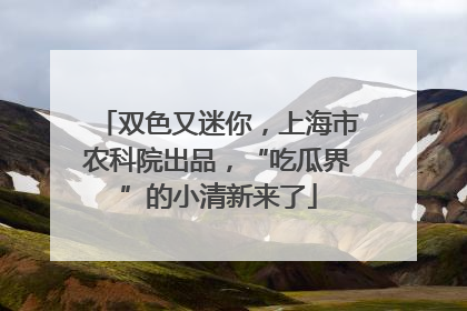 双色又迷你，上海市农科院出品，“吃瓜界”的小清新来了