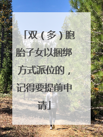 双（多）胞胎子女以捆绑方式派位的，记得要提前申请