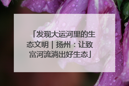 发现大运河里的生态文明｜扬州：让致富河流淌出好生态