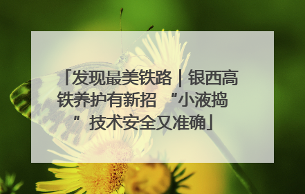 发现最美铁路｜银西高铁养护有新招 “小液捣”技术安全又准确