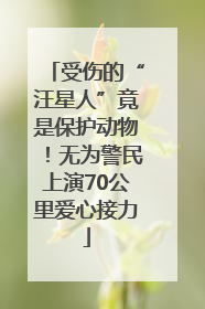 受伤的“汪星人”竟是保护动物！无为警民上演70公里爱心接力