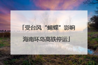 受台风“蝴蝶”影响 海南环岛高铁停运