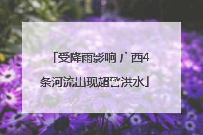 受降雨影响 广西4条河流出现超警洪水