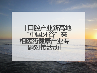口腔产业新高地 “中国牙谷”亮相医药健康产业专题对接活动