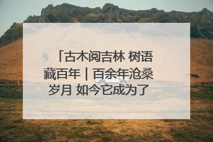 古木阅吉林 树语藏百年｜百余年沧桑岁月 如今它成为了“镇园之宝”