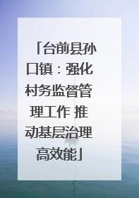 台前县孙口镇：强化村务监督管理工作 推动基层治理高效能