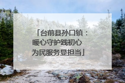台前县孙口镇：暖心守护践初心 为民服务显担当