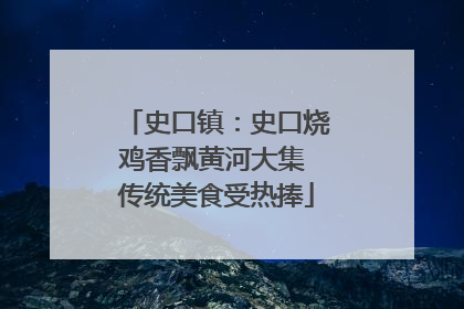 史口镇：史口烧鸡香飘黄河大集 传统美食受热捧