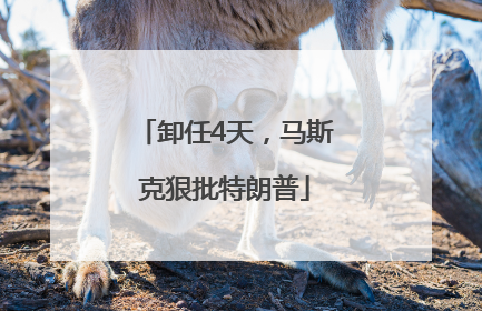 卸任4天，马斯克狠批特朗普