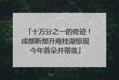 十万分之一的奇迹！成都新都升庵桂湖惊现今年首朵并蒂莲
