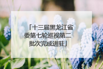 十三届黑龙江省委第七轮巡视第二批次完成进驻