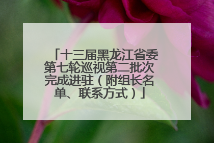 十三届黑龙江省委第七轮巡视第二批次完成进驻（附组长名单、联系方式）
