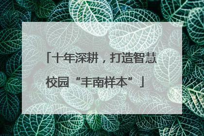 十年深耕，打造智慧校园“丰南样本”
