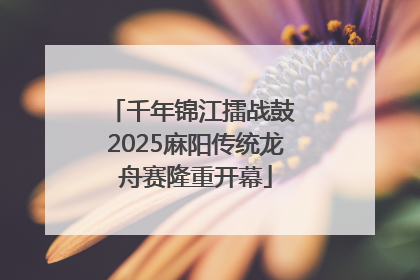 千年锦江擂战鼓 2025麻阳传统龙舟赛隆重开幕