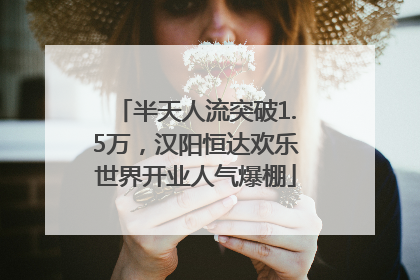 半天人流突破1.5万，汉阳恒达欢乐世界开业人气爆棚