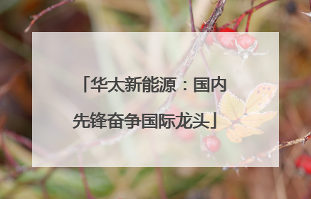 华太新能源：国内先锋奋争国际龙头