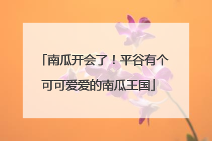南瓜开会了！平谷有个可可爱爱的南瓜王国