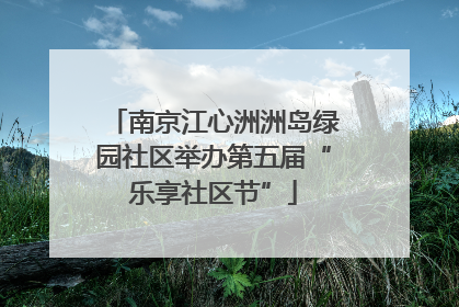 南京江心洲洲岛绿园社区举办第五届“乐享社区节”