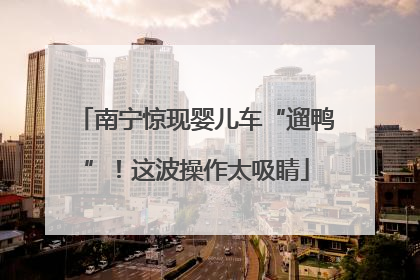 南宁惊现婴儿车“遛鸭”！这波操作太吸睛
