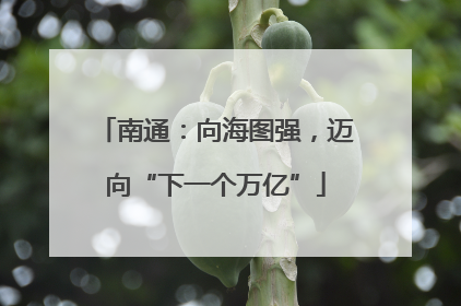 南通：向海图强，迈向“下一个万亿”