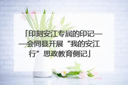 印刻安江专属的印记——会同县开展“我的安江行”思政教育侧记