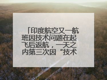 印度航空又一航班因技术问题在起飞后返航，一天之内第三次因“技术问题”返航