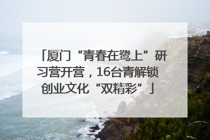 厦门“青春在鹭上”研习营开营，16台青解锁创业文化“双精彩”