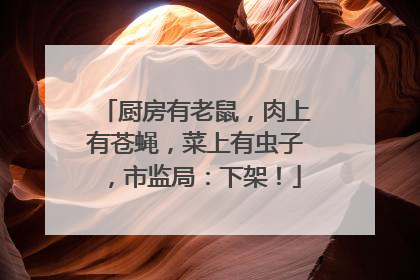 厨房有老鼠，肉上有苍蝇，菜上有虫子，市监局：下架！