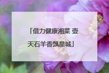 借力健康湘菜 壶天石羊香飘星城